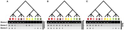 Patterns of Beta Diversity of Vascular Plants and Their Correspondence With Biome Boundaries Across North America